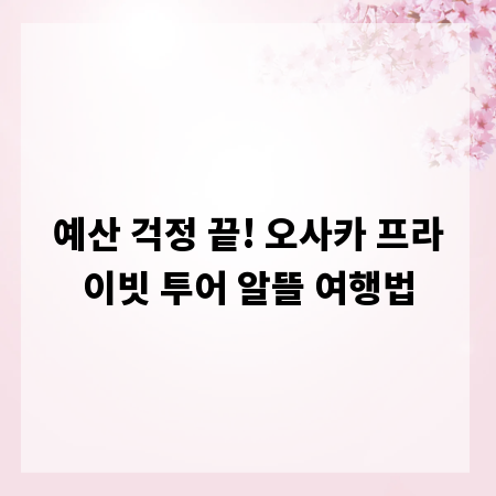 예산 걱정 끝! 오사카 프라이빗 투어 알뜰 여행법