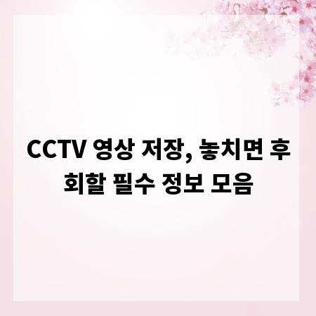 CCTV 영상 저장, 놓치면 후회할 필수 정보 모음
