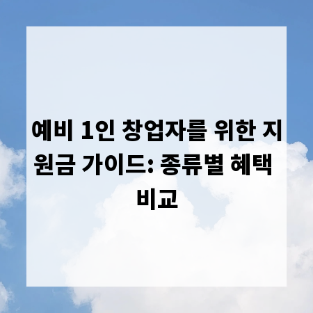 예비 1인 창업자를 위한 지원금 가이드: 종류별 혜택 비교