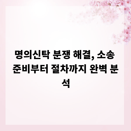 명의신탁 분쟁 해결, 소송 준비부터 절차까지 완벽 분석
