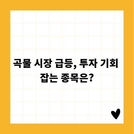 곡물 시장 급등, 투자 기회 잡는 종목은?