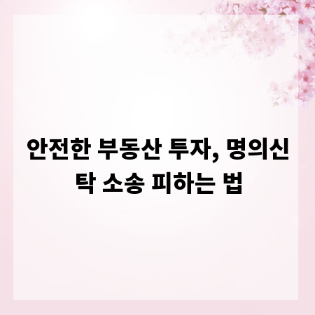 안전한 부동산 투자, 명의신탁 소송 피하는 법