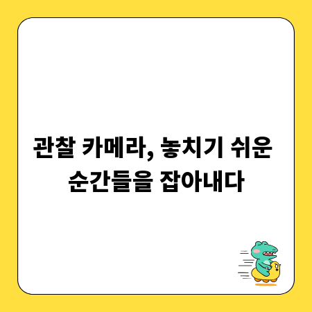 관찰 카메라, 놓치기 쉬운 순간들을 잡아내다
