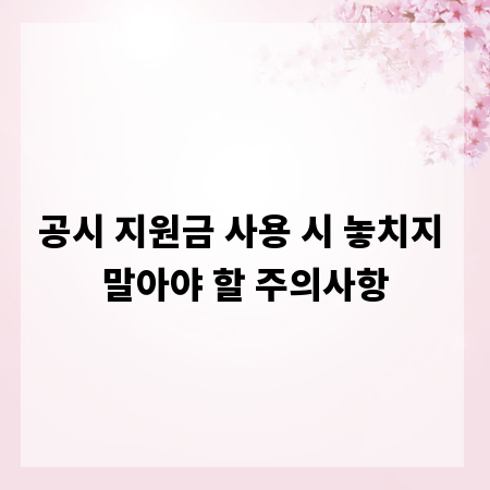 공시 지원금 사용 시 놓치지 말아야 할 주의사항