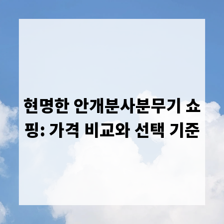 현명한 안개분사분무기 쇼핑: 가격 비교와 선택 기준