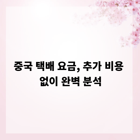중국 택배 요금, 추가 비용 없이 완벽 분석