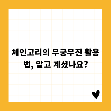 체인고리의 무궁무진 활용법, 알고 계셨나요?