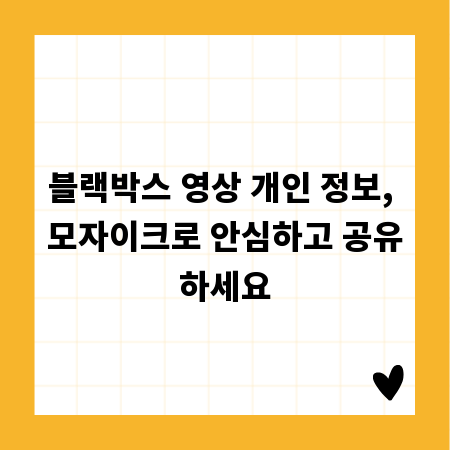 블랙박스 영상 개인 정보, 모자이크로 안심하고 공유하세요