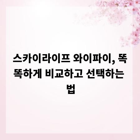 스카이라이프 와이파이, 똑똑하게 비교하고 선택하는 법