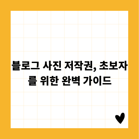 블로그 사진 저작권, 초보자를 위한 완벽 가이드