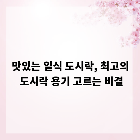 맛있는 일식 도시락, 최고의 도시락 용기 고르는 비결