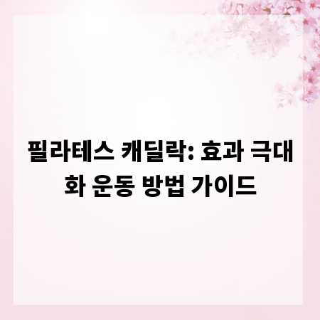 필라테스 캐딜락: 효과 극대화 운동 방법 가이드