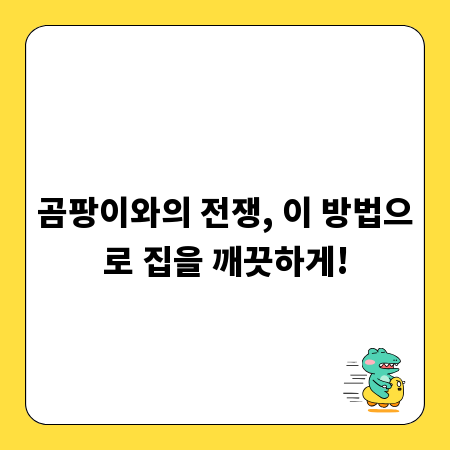 곰팡이와의 전쟁, 이 방법으로 집을 깨끗하게!