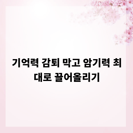 기억력 감퇴 막고 암기력 최대로 끌어올리기