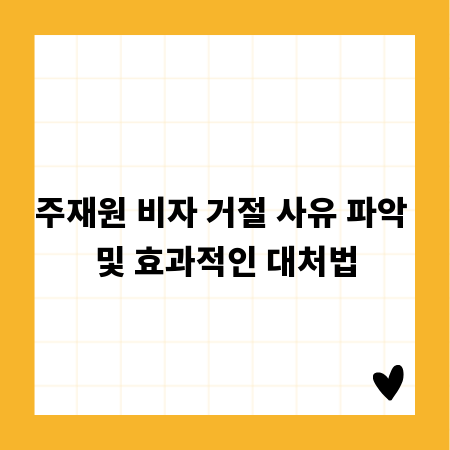 주재원 비자 거절 사유 파악 및 효과적인 대처법