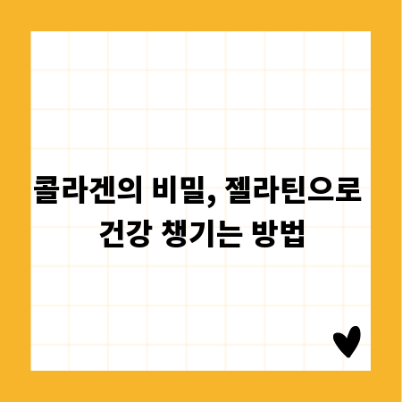 콜라겐의 비밀, 젤라틴으로 건강 챙기는 방법