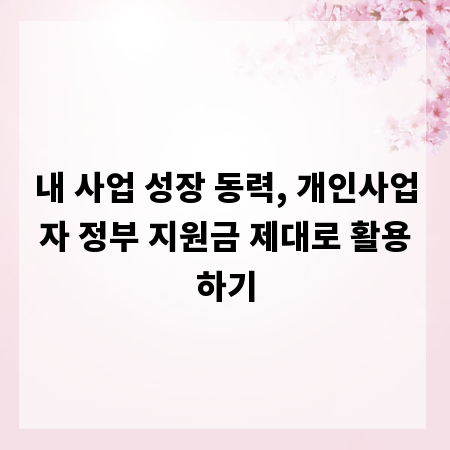 내 사업 성장 동력, 개인사업자 정부 지원금 제대로 활용하기