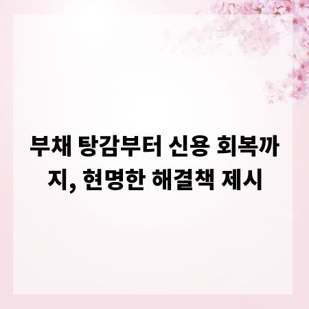 부채 탕감부터 신용 회복까지, 현명한 해결책 제시