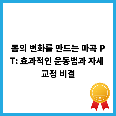 몸의 변화를 만드는 마곡 PT: 효과적인 운동법과 자세 교정 비결