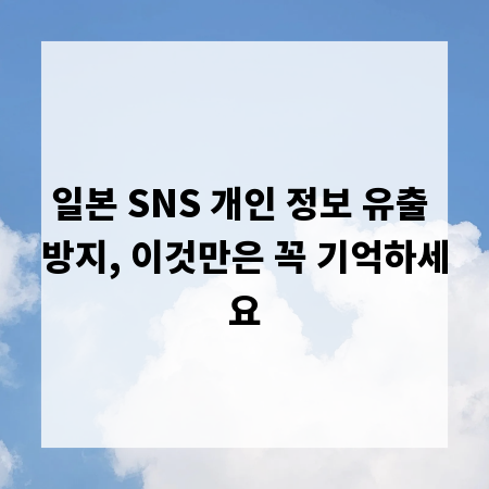 일본 SNS 개인 정보 유출 방지, 이것만은 꼭 기억하세요