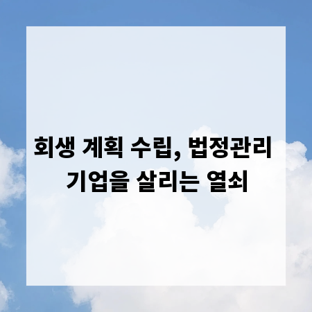 회생 계획 수립, 법정관리 기업을 살리는 열쇠