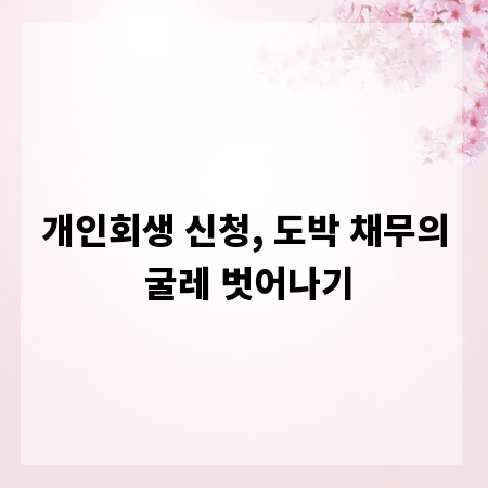 개인회생 신청, 도박 채무의 굴레 벗어나기