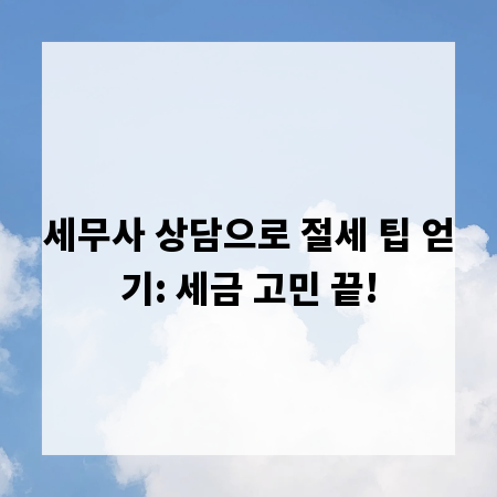 세무사 상담으로 절세 팁 얻기: 세금 고민 끝!