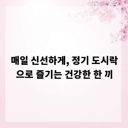 매일 신선하게, 정기 도시락으로 즐기는 건강한 한 끼