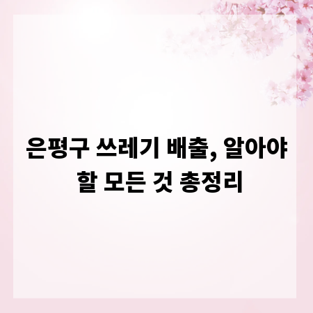 은평구 쓰레기 배출, 알아야 할 모든 것 총정리
