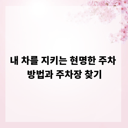 내 차를 지키는 현명한 주차 방법과 주차장 찾기