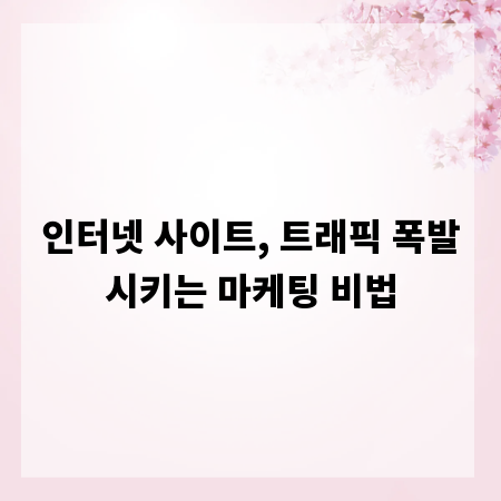 인터넷 사이트, 트래픽 폭발시키는 마케팅 비법