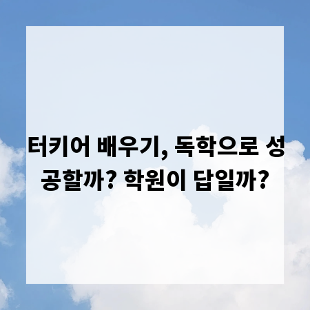 터키어 배우기, 독학으로 성공할까? 학원이 답일까?