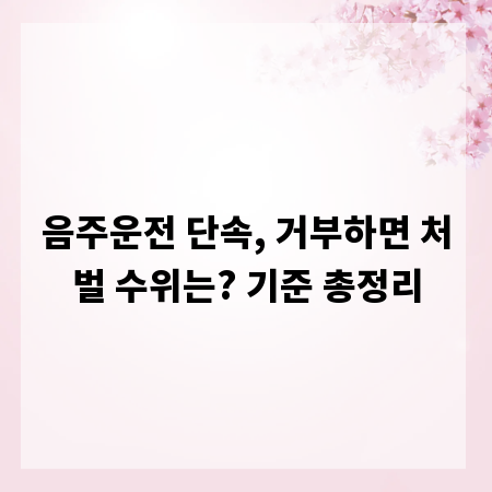 음주운전 단속, 거부하면 처벌 수위는? 기준 총정리