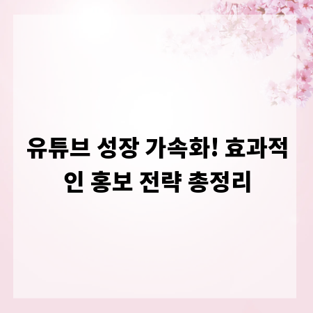 유튜브 성장 가속화! 효과적인 홍보 전략 총정리