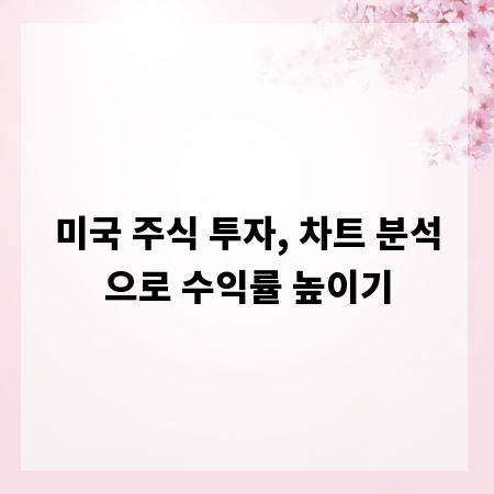 미국 주식 투자, 차트 분석으로 수익률 높이기