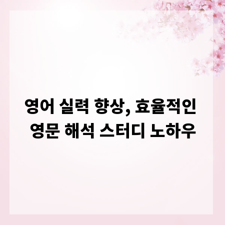 영어 실력 향상, 효율적인 영문 해석 스터디 노하우