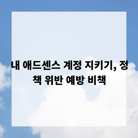 내 애드센스 계정 지키기, 정책 위반 예방 비책