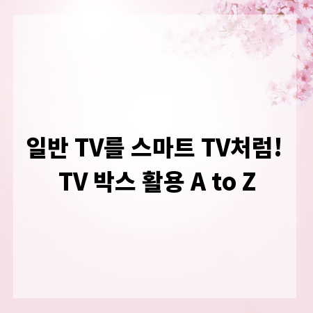 일반 TV를 스마트 TV처럼! TV 박스 활용 A to Z