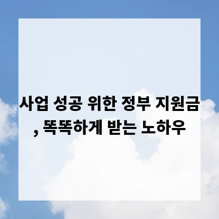 사업 성공 위한 정부 지원금, 똑똑하게 받는 노하우