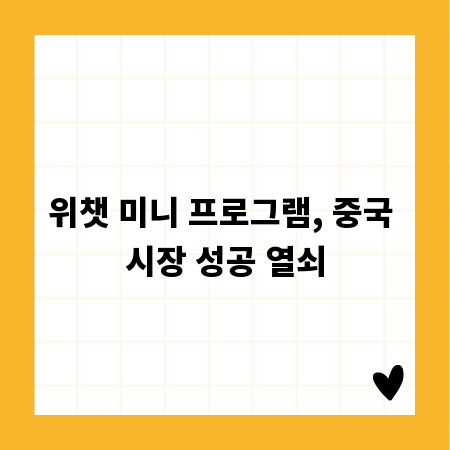 위챗 미니 프로그램, 중국 시장 성공 열쇠