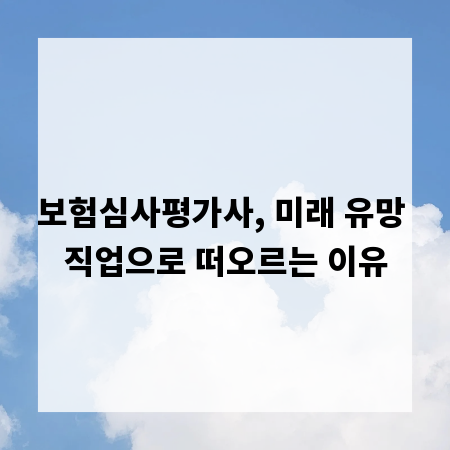 보험심사평가사, 미래 유망 직업으로 떠오르는 이유