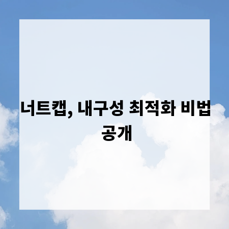 너트캡, 내구성 최적화 비법 공개