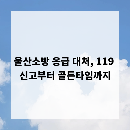 울산소방 응급 대처, 119 신고부터 골든타임까지