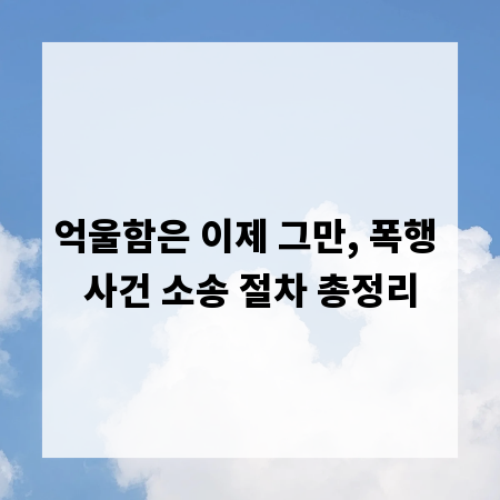 억울함은 이제 그만, 폭행 사건 소송 절차 총정리