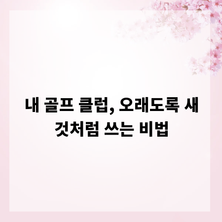 내 골프 클럽, 오래도록 새것처럼 쓰는 비법