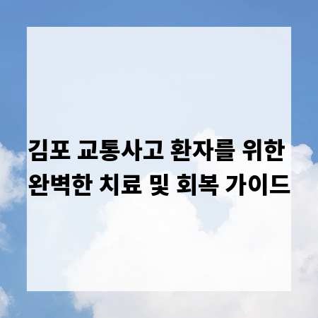 김포 교통사고 환자를 위한 완벽한 치료 및 회복 가이드