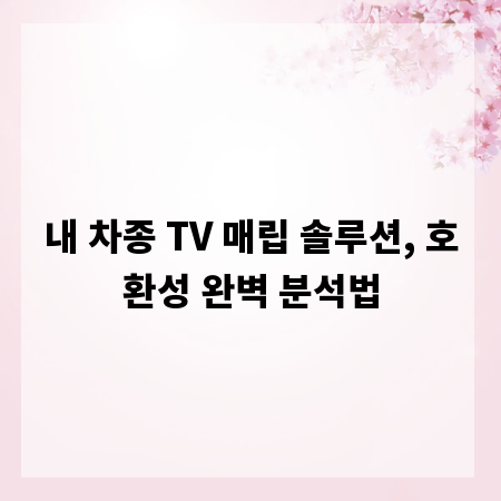내 차종 TV 매립 솔루션, 호환성 완벽 분석법