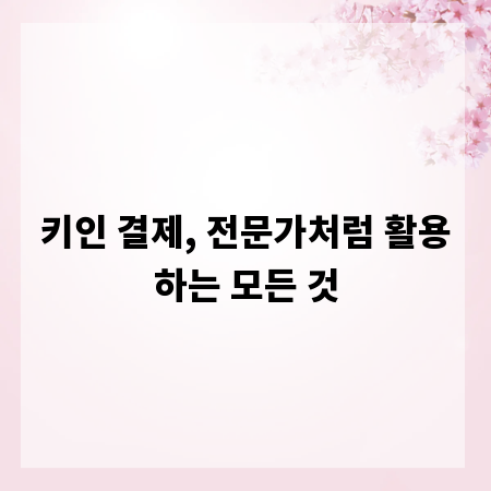 키인 결제, 전문가처럼 활용하는 모든 것