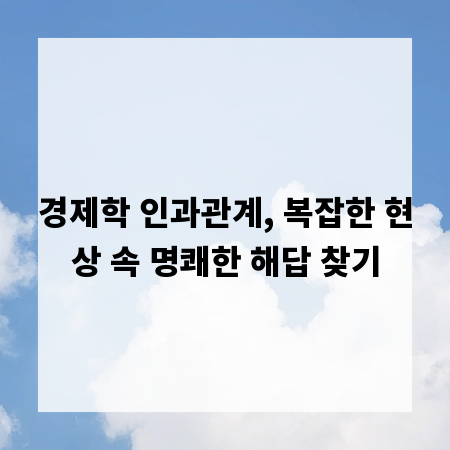 경제학 인과관계, 복잡한 현상 속 명쾌한 해답 찾기