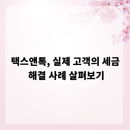 택스앤톡, 실제 고객의 세금 해결 사례 살펴보기